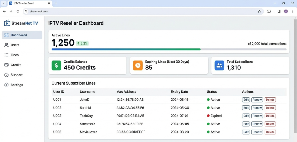 IPTV reseller panel dashboard showing active subscriber lines and credit balance